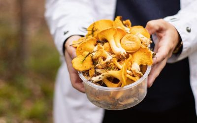Découvrez la méthode secrète pour nettoyer les níscalos comme un pro !