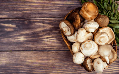 Le jour mondial du champignon : 7 secrets surprenants à découvrir absolument !