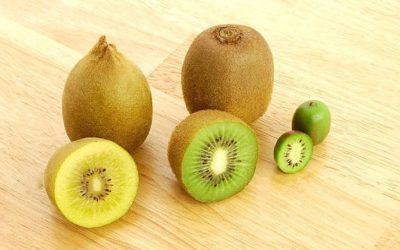 Les différentes variétés de kiwis : Découvrez leurs bienfaits surprenants !