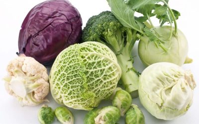 Découvrez les 10 variétés de choux : leurs bienfaits surprenants révélés !