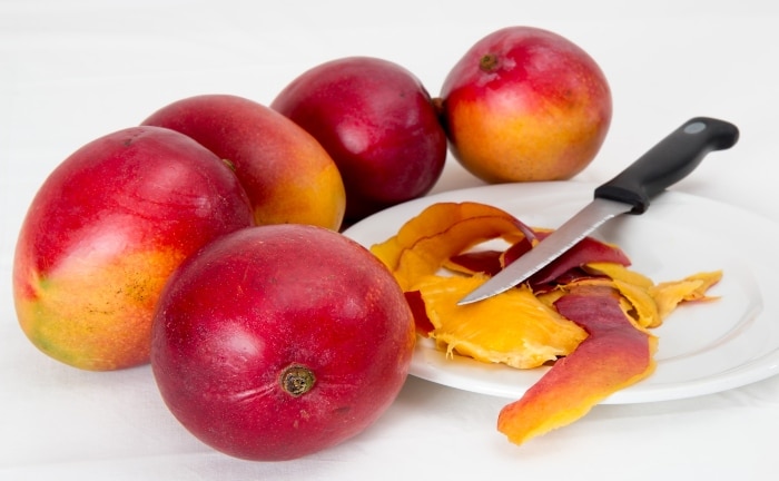 Mangue florissante
