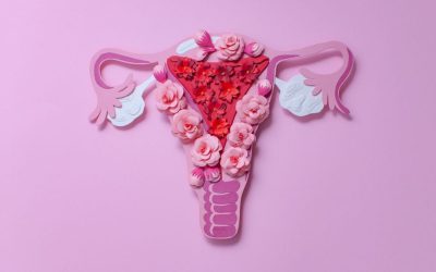 Les mystères de la santé féminine : Un lien surprenant entre les troubles gynécologiques et les maladies cardiaques ?
Dans un monde où la santé des femmes est souvent mise de côté, une nouvelle recherche pourrait bien révolutionner notre compréhension des liens entre les troubles gynécologiques et le risque accru de maladies cardiaques. Restez avec nous pour découvrir cette étude fascinante qui pourrait changer votre perspective sur ces deux problématiques de santé !
Des découvertes inattendues qui interpellent !
Les résultats récents d’une étude audacieuse soulèvent des questions cruciales. En effet, il semblerait que certaines conditions gynécologiques pourraient être plus qu’un simple inconfort ; elles pourraient également représenter un facteur de risque pour des maladies cardiovasculaires. Cette découverte est d’une importance capitale, car elle souligne la nécessité d’une prise en charge intégrée pour les femmes.
Pourquoi cela mérite votre attention ?
S’informer sur ce sujet pourrait non seulement vous permettre de mieux comprendre votre propre santé, mais également celle de vos proches. Ne sous-estimez pas l’impact que peuvent avoir ces troubles sur votre bien-être général ! En vous armant de connaissances, vous pourrez agir proactivement pour prendre soin de votre cœur tout en gérant vos préoccupations gynécologiques.
Un appel à l’action : Informez-vous et agissez !
N’attendez pas que le problème se présente à vous ; commencez dès aujourd’hui à explorer les implications potentielles des troubles gynécologiques sur votre santé cardiaque. Consultez un professionnel de la santé, posez des questions et prenez le contrôle de votre bien-être. Le savoir est un pouvoir, et il est temps que chaque femme prenne conscience des interconnexions entre son corps et sa santé globale.