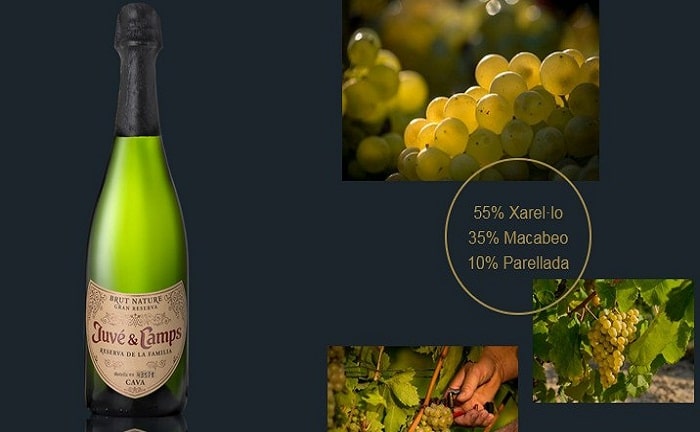 Cava Mercadona Commercial Center Champagne Christmas Fumosa Bubble Potassium Brindis Cava Mercadona Commercial Center Champagne Christmas Fumosa Bubble Potassium Brindis