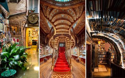 Découvrez les 10 librairies les plus photogéniques au monde : un classement qui va vous surprendre !
Une nouvelle étude révèle les librairies à couper le souffle qui feront exploser votre feed Instagram !