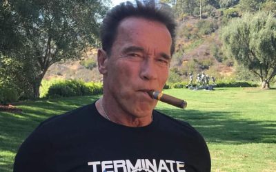 Arnold Schwarzenegger Admits Embarrassment Over Cult Classic’s Box Office Failure