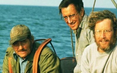 Le Box Office de Jaws : 3 Suites en 12 Ans, Mais l’Original Reste Indétrônable !